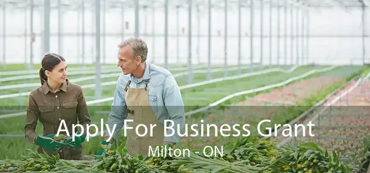 Apply For Business Grant Milton - ON